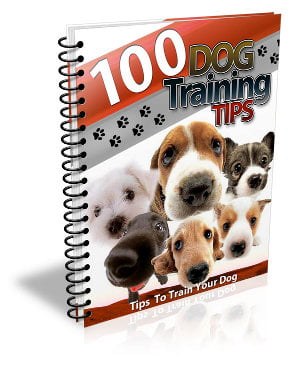 100 TIPS TO TRAIN DOG