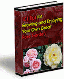 101 TIPS FOR GROWING YOUR ROSE GARDEN