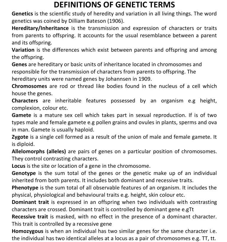 GENETIC TERMS_01