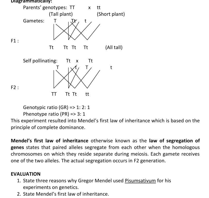GENETIC TERMS_05