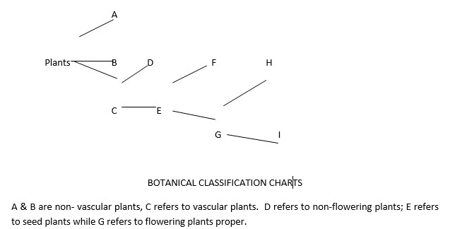 botanical charts