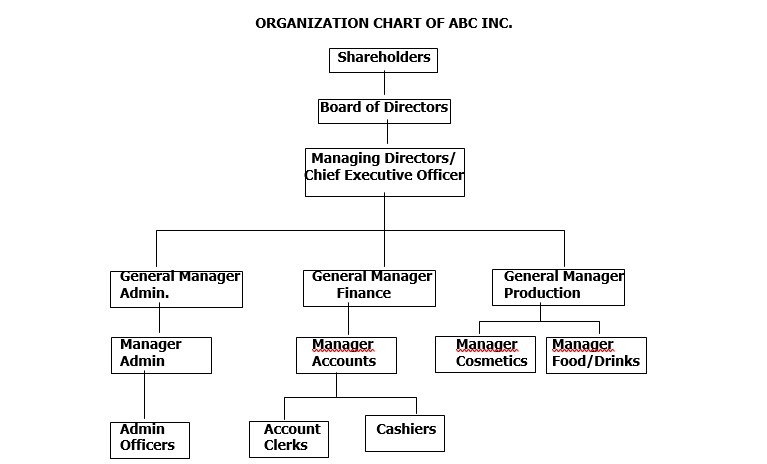 business organization chart